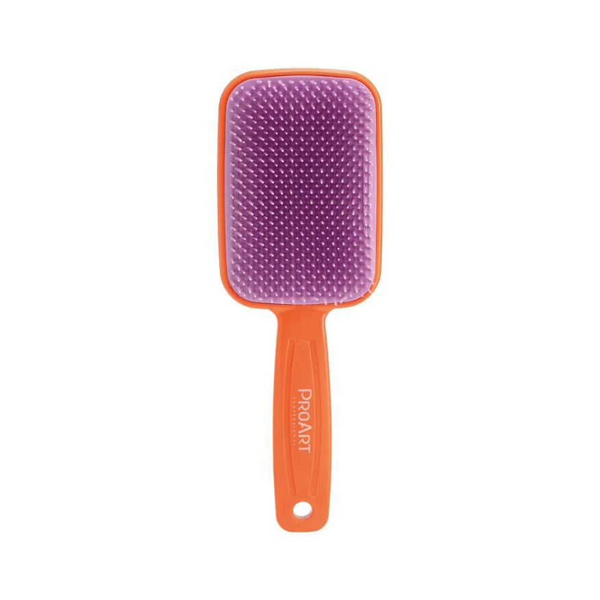 ProArt Escova Desembaraçante - Laranja E Lavanda
