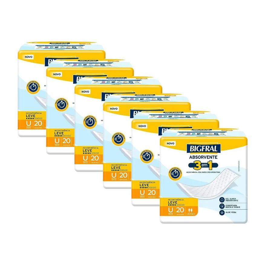 Bigfral Kit 6 Absorventes Geriátricos Regular Plus 20un Cada