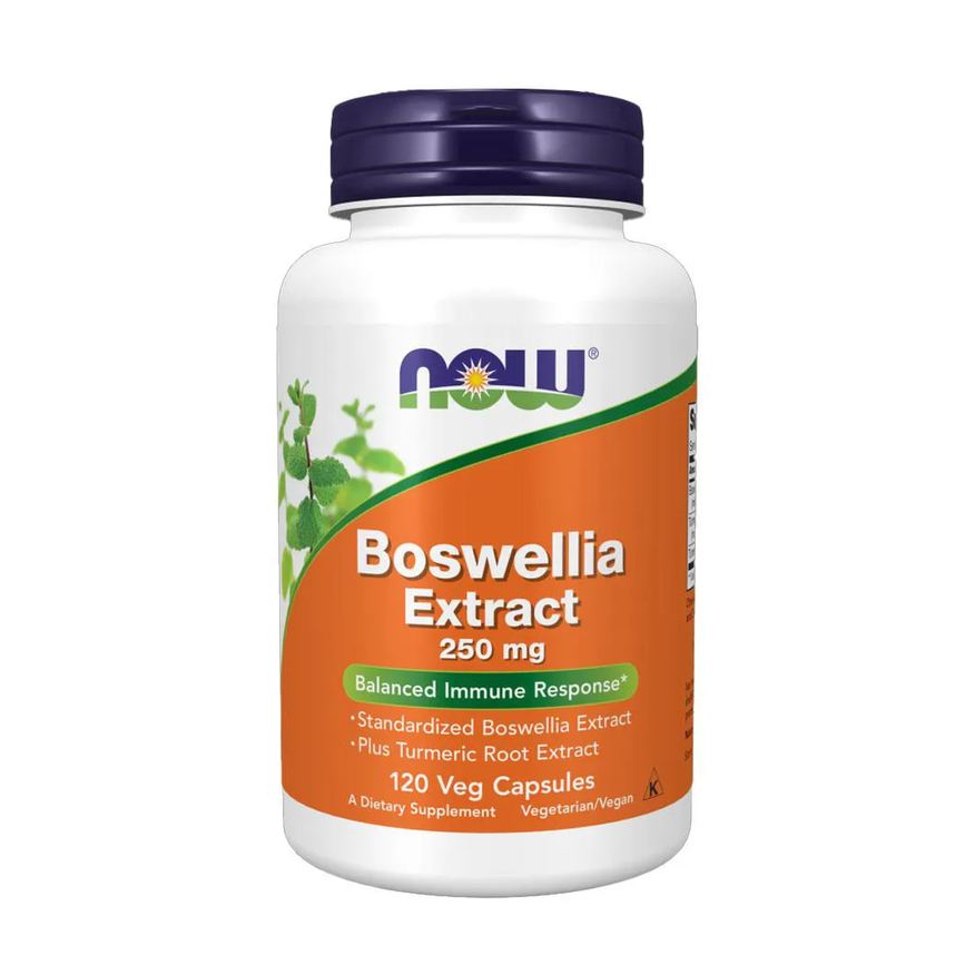 Now Foods Extrato de Boswellia 250mg 120Cáps Importado