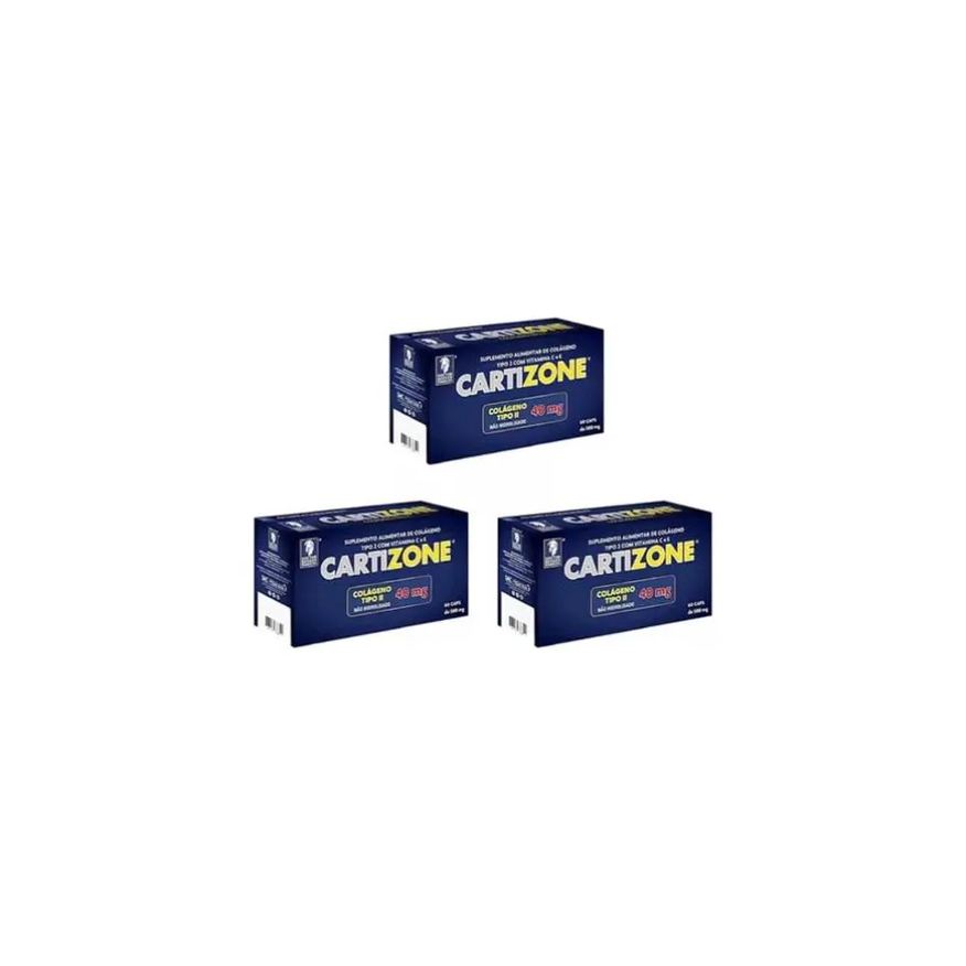 Kicasalinda Kit 3 Colágeno Tipo 2 Com Vitamina C E 60 Cápsulas - Cartizone