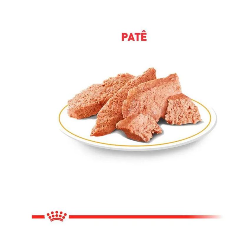 Úmida Ração Lata Royal Canin Dieta Veterinária Urinary S/O para Cães com Doenças Urinárias