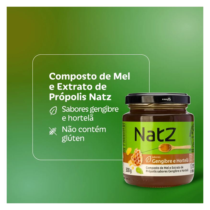 de Composto Mel e Própolis Natz Gengibre e Hortelã 300g