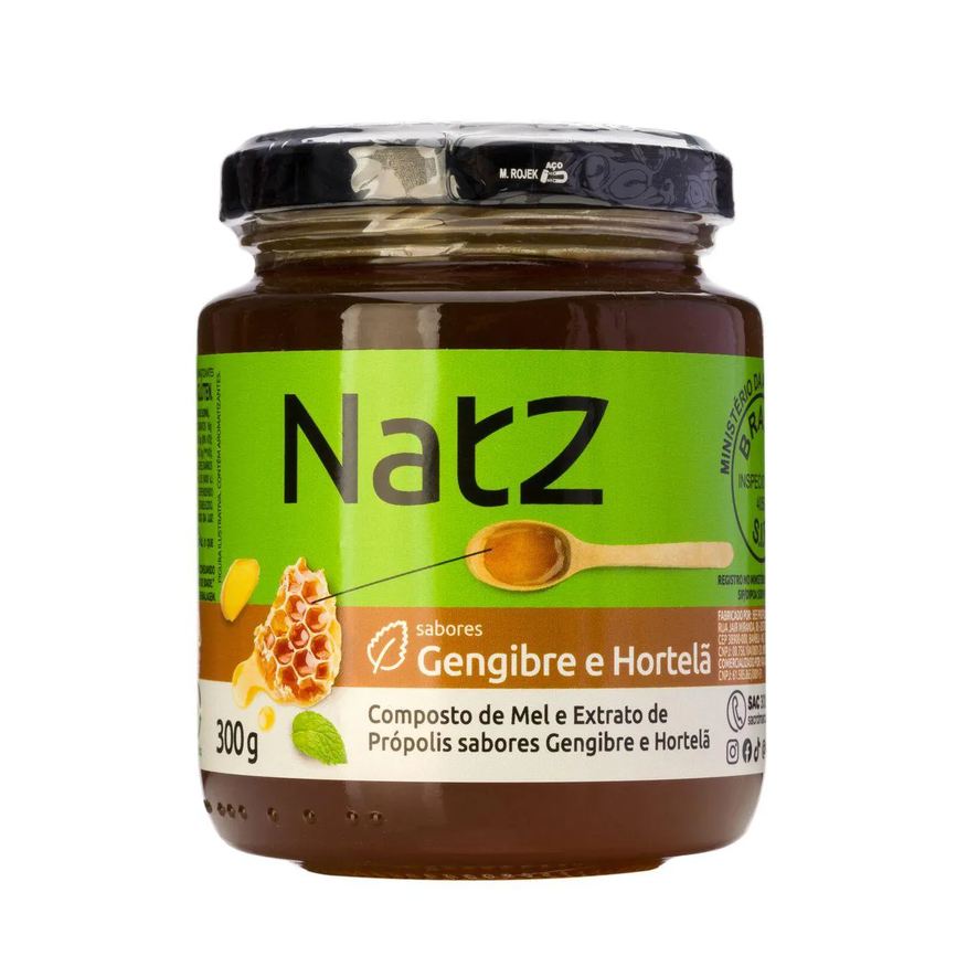de Composto Mel e Própolis Natz Gengibre e Hortelã 300g