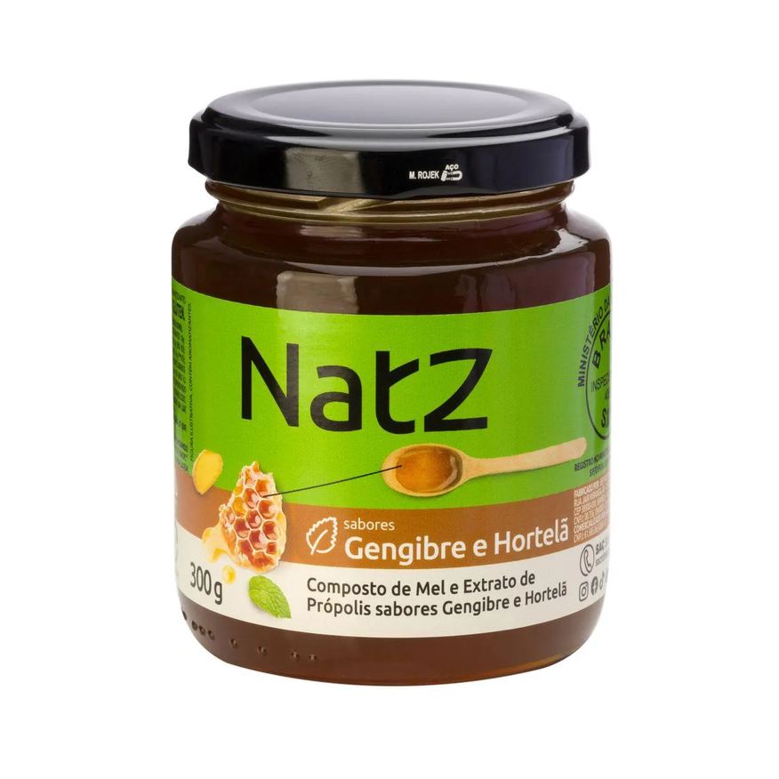 de Composto Mel e Própolis Natz Gengibre e Hortelã 300g