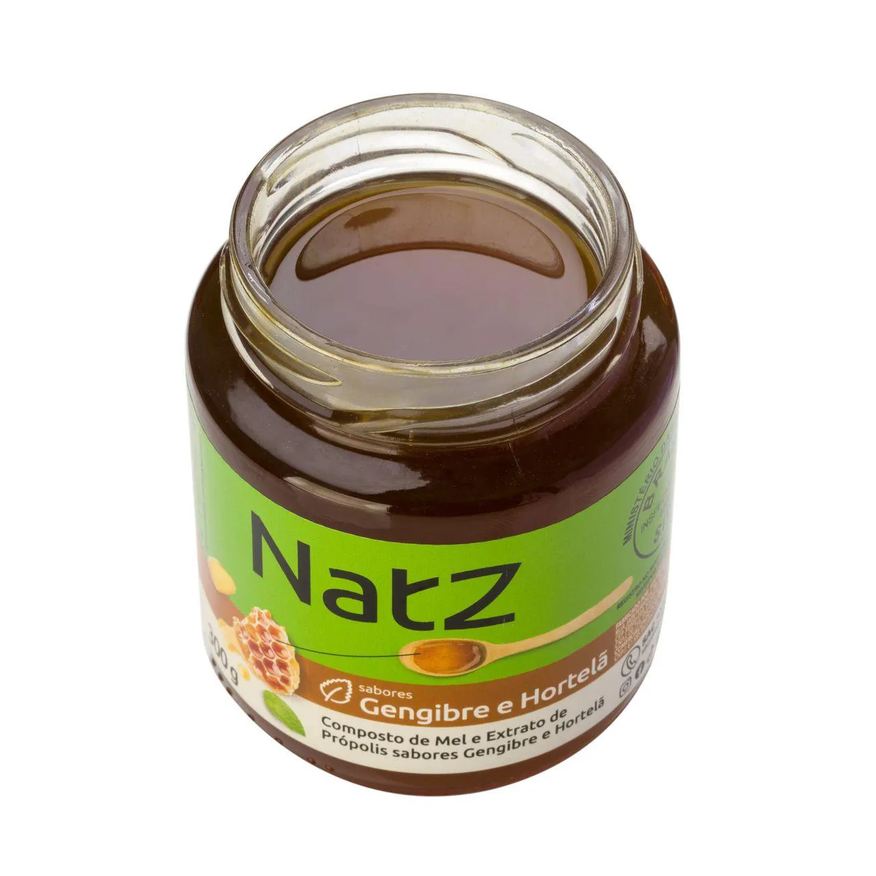 de Composto Mel e Própolis Natz Gengibre e Hortelã 300g