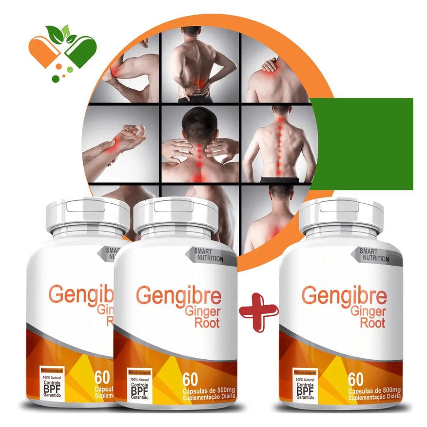 4Elementos Compre 2 Leve 3 Potes Gengibre 500mg 60 cápsulas
