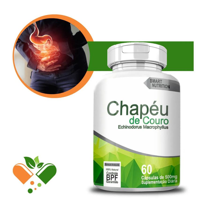4Elementos Chapéu de Couro 500mg 60 cápsulas